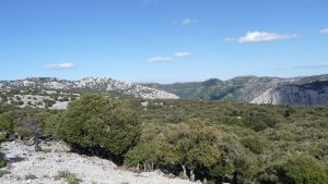 escursioni-trekking-oliena-il-supramonte