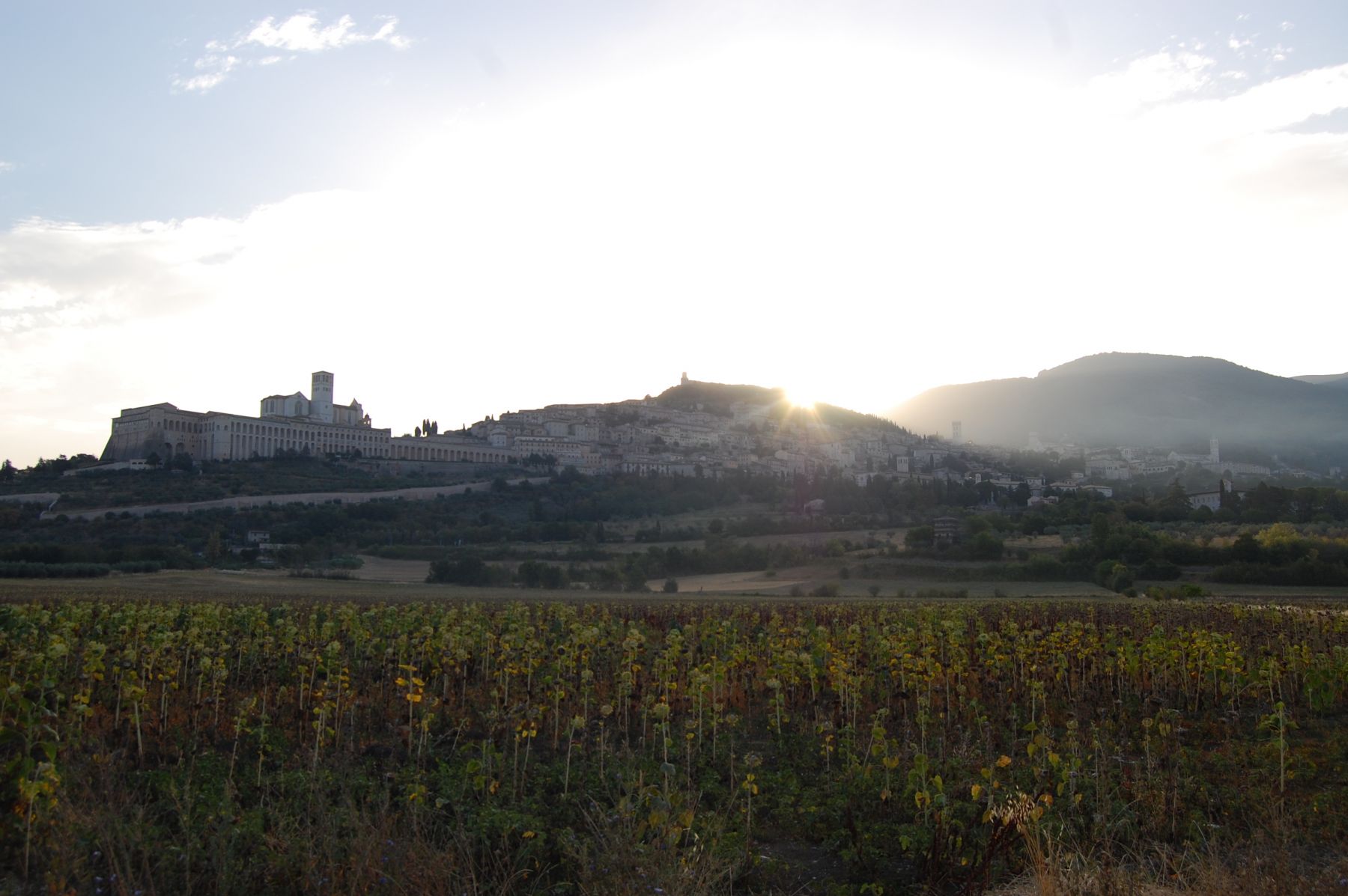 Assisi-cosa-vedere-in-un-giorno