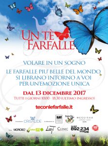 tea-with-butterflies-events-rome