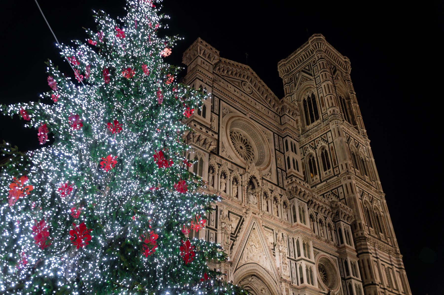 christmas-in-florence-dooid