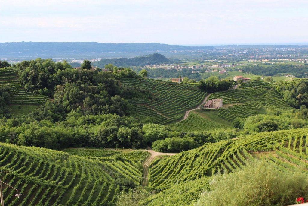 vini-regioni-italia-valdobbiadene-veneto